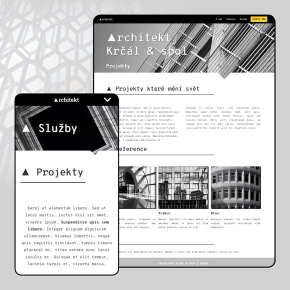 Přátelský web – Architekt