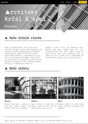 Přátelský web – Architekt